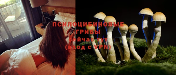 дурь Белокуриха